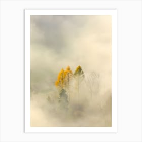 Misty Morning Art Print