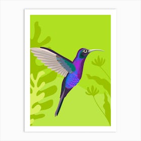 Hummingbird Art Print