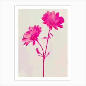 Hot Pink Asters 2 Art Print