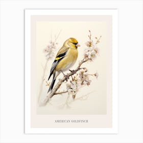 Vintage Bird Drawing American Goldfinch 2 Poster Art Print