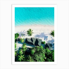 Aerial View Of A Tropical Beach Art Print