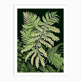 Japanese Climbing Fern Vintage Botanical Poster Art Print