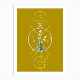 Vintage Pale Yellow Eyed Grass Botanical with Geometric Line Motif and Dot Pattern n.0318 Art Print