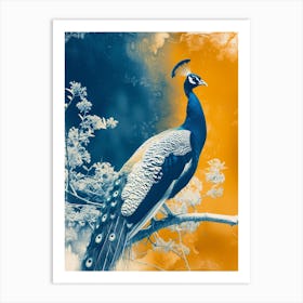 Vintage Photo Of Orange & Blue Peacock  2 Art Print
