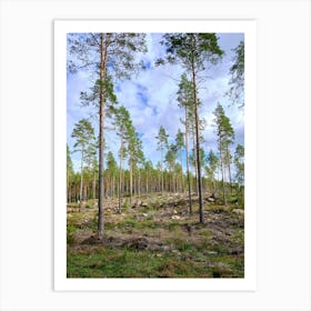 Swedish forrest 40901 Art Print