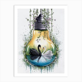 Swans In Water 1 Art Print