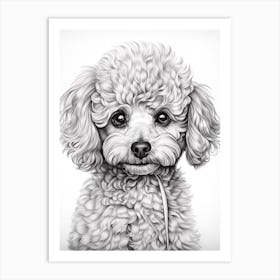 Poodle Dog, Line Drawing 3 Art Print