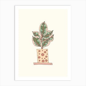 Ficus Ruby In A Pot Art Print