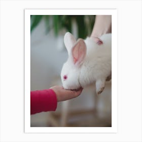 White Rabbit On A Woman'S Hand Art Print