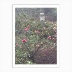 Floral Garden in Kodaikanal, India. Photograph Art Print