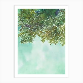 Acropora Suharsonoi V Storybook Watercolour Art Print