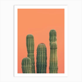 Cactus 15 Art Print