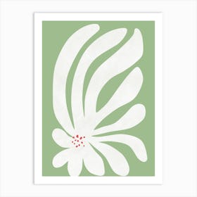 White Chrysanthemum Art Print