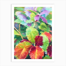 Coleus 2 Impressionist Painting Art Print