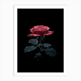 Black Rose 11 Art Print