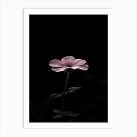 Single Pink Flower Art Print