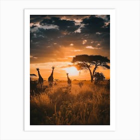 Sunset Giraffes Art Print