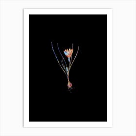 Stained Glass Ixia Filifolia Mosaic Botanical Illustration on Black n.0266 Art Print