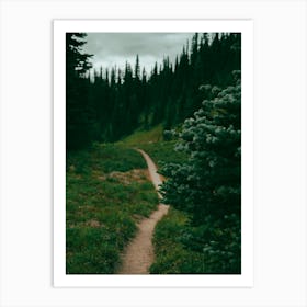 Green Forest Hiking Trail Art Print