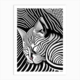 Zebra Cat Art Print