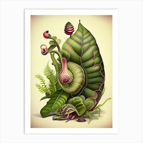 Assassin Snail  Botanical Art Print