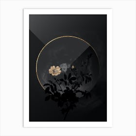 Shadowy Vintage White Downy Rose Botanical in Black and Gold Art Print
