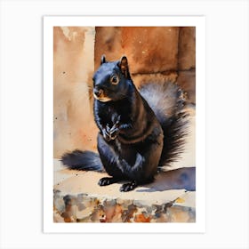 Calabrian Black Squirrel 1 Art Print