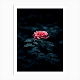 Dark Rose 20 Art Print