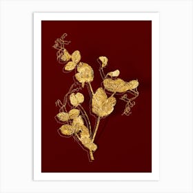 Vintage White Pea Flower Botanical in Gold on Red n.0226 Art Print