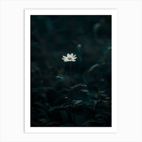 Flower In The Dark 27 Art Print