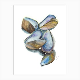 Oyster Shell in grouping Art Print