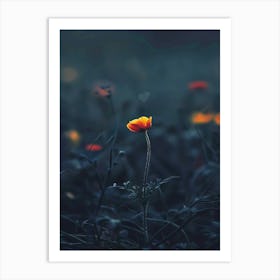 Single Flower In A Field Art Print