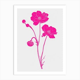 Hot Pink Cineraria 2 Art Print