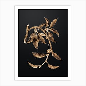 Gold Botanical Cherry on Wrought Iron Black n.3290 Art Print