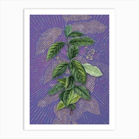Vintage Broadleaf Spindle Botanical Illustration on Veri Peri n.0053 Art Print