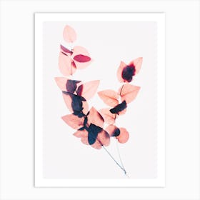 Shadows Of Leaves Art Print