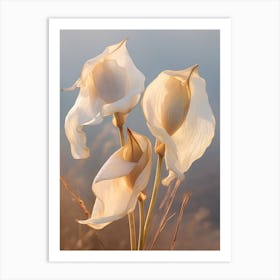 Boho Dried Flowers Calla Lily 2 Art Print