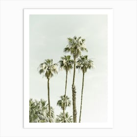 Palm Trees Summertime Art Print