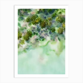 Acropora Clathrata Ii Storybook Watercolour Art Print