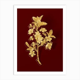 Vintage White Plum Flower Botanical in Gold on Red n.0139 Art Print