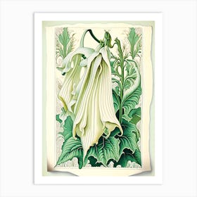 Angel'S Trumpet 2 Floral Botanical Vintage Poster Flower Art Print