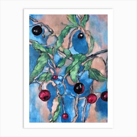 Black Currant 1 Classic Fruit Art Print