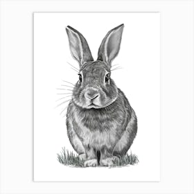 Rabbit In The Grass Art Print