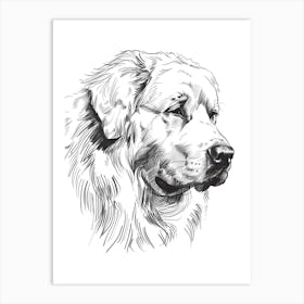 Great Pyrenees Dog Line Sketch Art Print