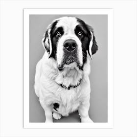 St Bernard B&W Pencil Dog Art Print