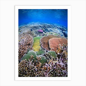 Coral Art Print