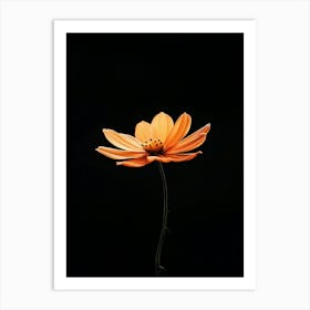 Single Orange Flower On Black Background 1 Art Print