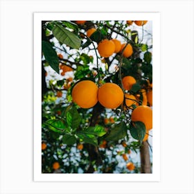 Amalfi Coast Oranges III Art Print
