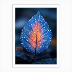 Blue Leaf With Water Droplets 3 Art Print