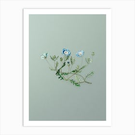 Vintage Shewy Nemophila Botanical Art on Mint Green n.0933 Art Print